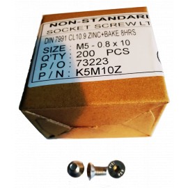 200x M5 x 10L Socket Allen Key countersunk screws for flanges